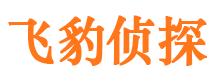 馆陶市私家侦探